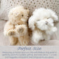 MON AMI Sugar Maltese Puppy 11-Inch Stuffed Dog, Soft Cuddly Plush Toy