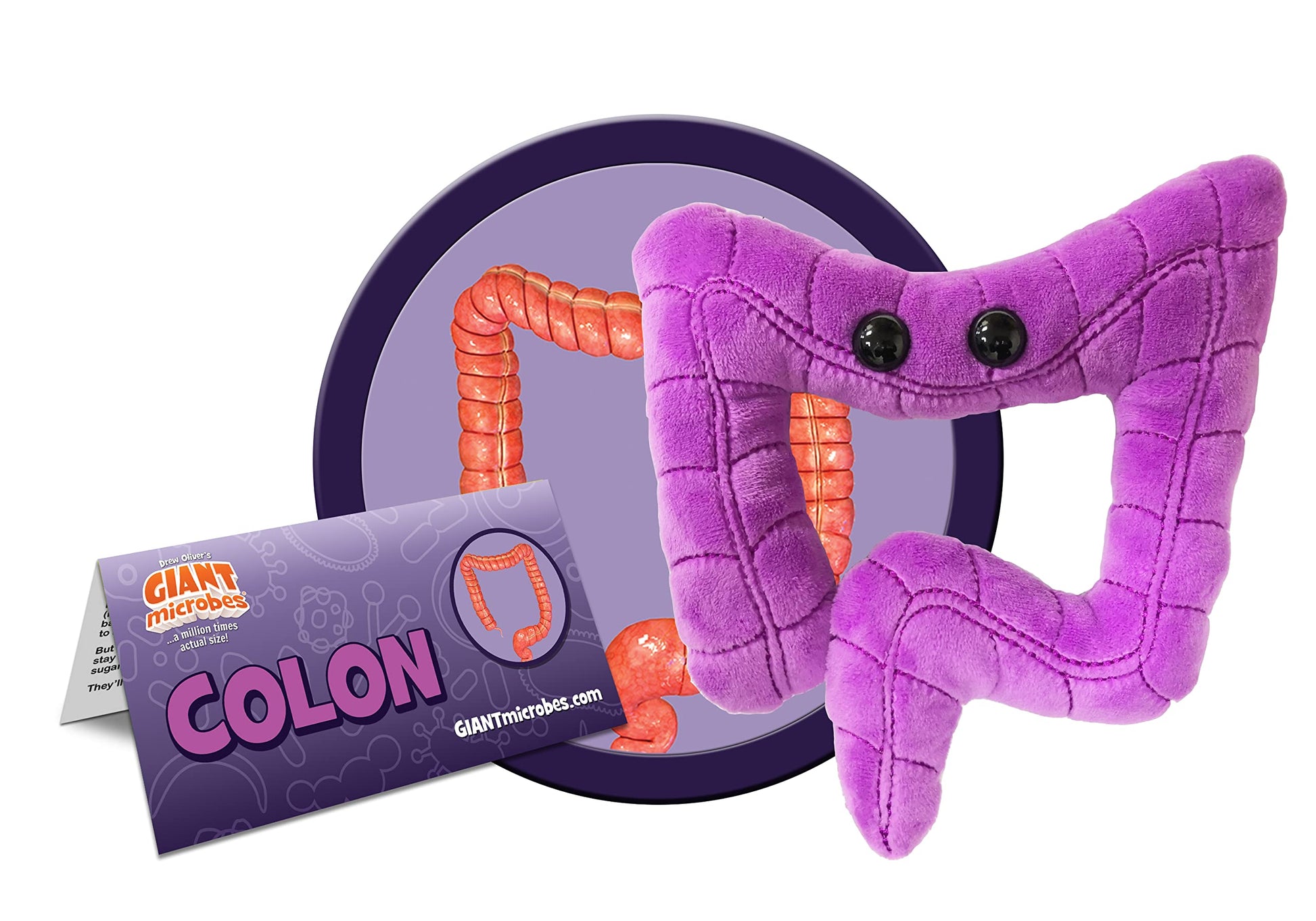 GIANT MICROBES Colon Plush, Funny Colonoscopy Gifts, Colon Cancer Awareness Items, Gastroenterology Gifts, Surgery Recovery Items, Colonoscopy Gift