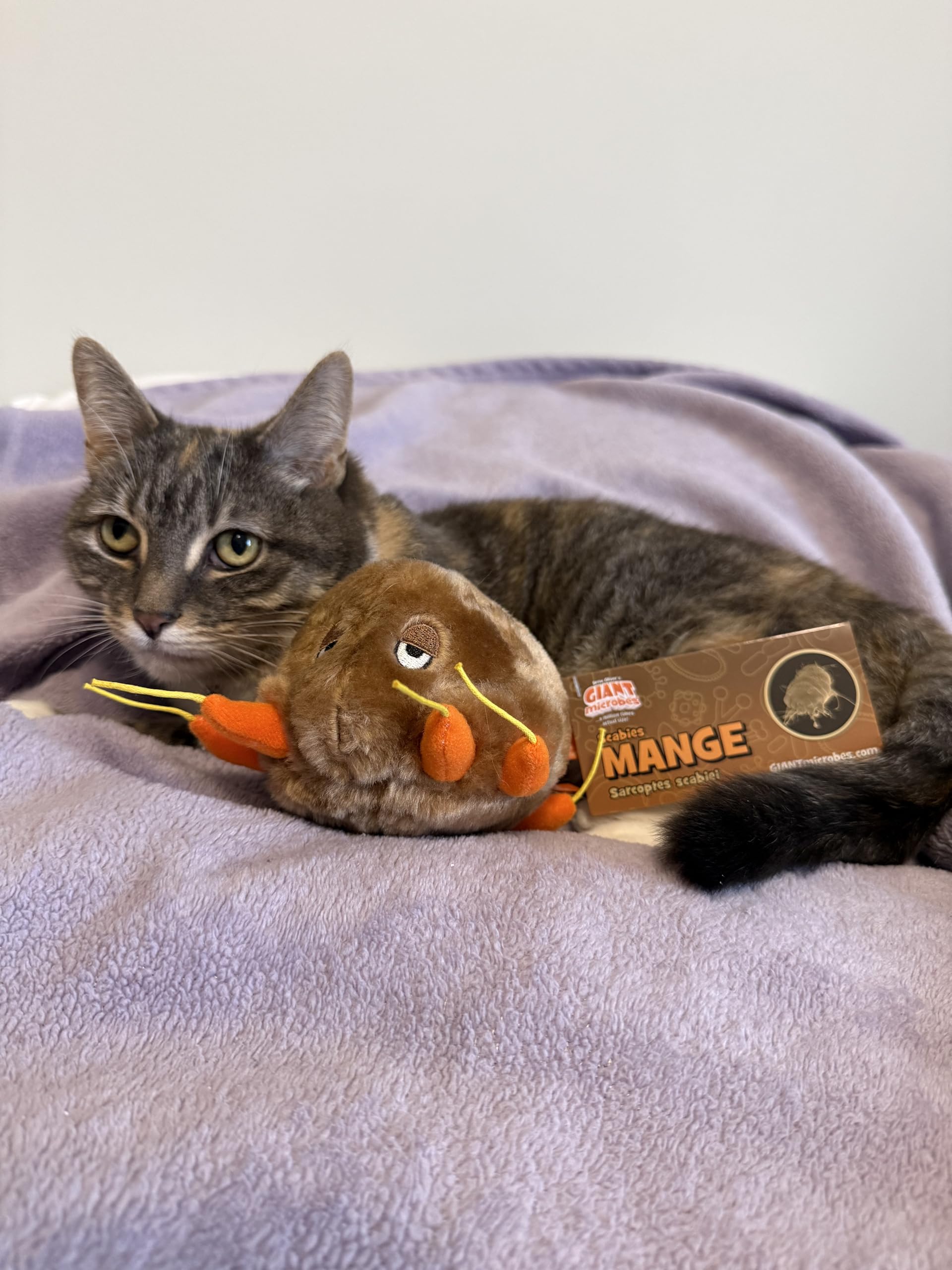 GIANTmicrobes Mange Plush - Learn about Mites and How They Cause Skin Disease, with this Educational Gift for Friends, Veterinarians, Educators, Pet
