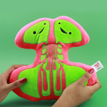 Sinus Plushie - Breathing Buddies - Sinusitis Surgery Gift Pillow