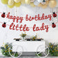 Ladybug Theme Happy Birthday Little Lady Banner - Girl's Baby Shower/Birthday Party Backdrops- Baby's 1st/2nd/3rd Barthday Decorations Supplies