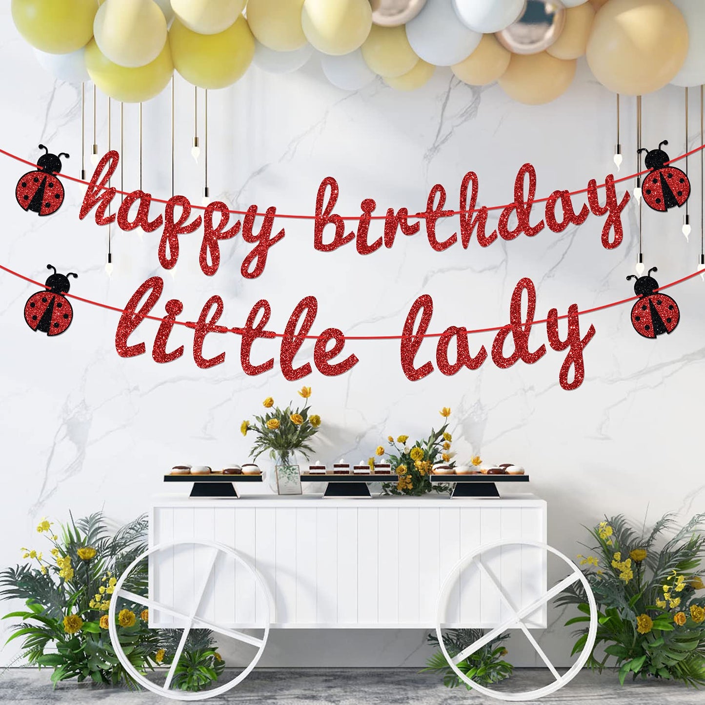 Ladybug Theme Happy Birthday Little Lady Banner - Girl's Baby Shower/Birthday Party Backdrops- Baby's 1st/2nd/3rd Barthday Decorations Supplies