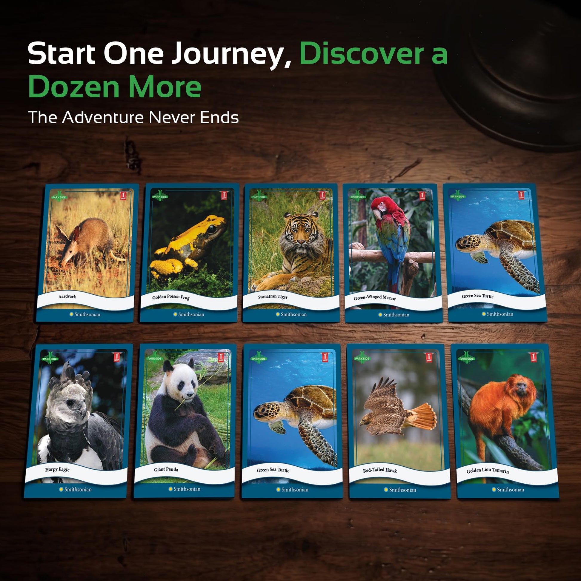 Parkside Curiosity Cards - Animal Kingdom Collectible Trading Cards - 50 Wildlife Flash Cards for Girls & Boys - STEM Learning Flashcards for Kids