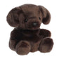 Aurora® Adorable Palm Pals™ Sienna Chocolate Lab™ Stuffed Animal - Fun Collectible Plush for Kids and Adult Collectors - Perfect for Decorating Rooms