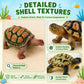 Liberty Imports 12 Piece Sea Turtle Animal Toys - Miniature Figurines - Unique Tortoise Toys Detailed and Hand Painted Reptiles Party Favor