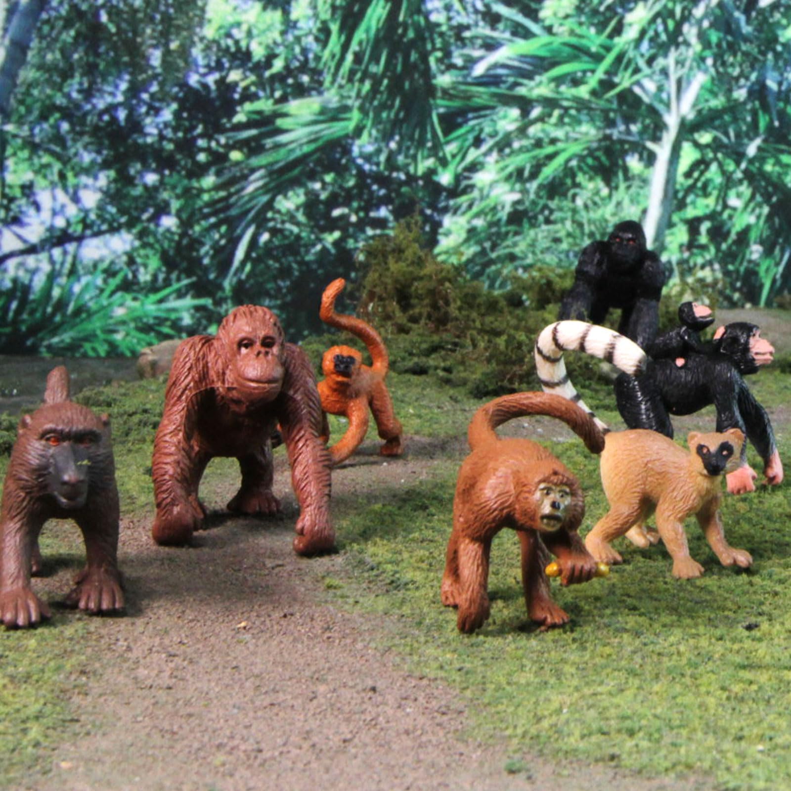 Safari Ltd. Apes & Monkeys TOOB - 12 Figurines: Baboon, Orangutan, Tamarin, Lemur, Gorilla, Mandrill, Chimp, Squirrel, Spider, & Woolly Monkeys