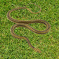 MameJo Lifelike 48" Yellow Rat Snake - Realistic Rubber Snake Replica for Pranks, Garden Decor, and Educational Play