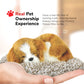 Perfect Petzzz Mini Cavalier King Charles, Stuffed Animals for Girls and Boys, Dog Toys for Kids and Elderly, Battery-Operated Live Pet Toys