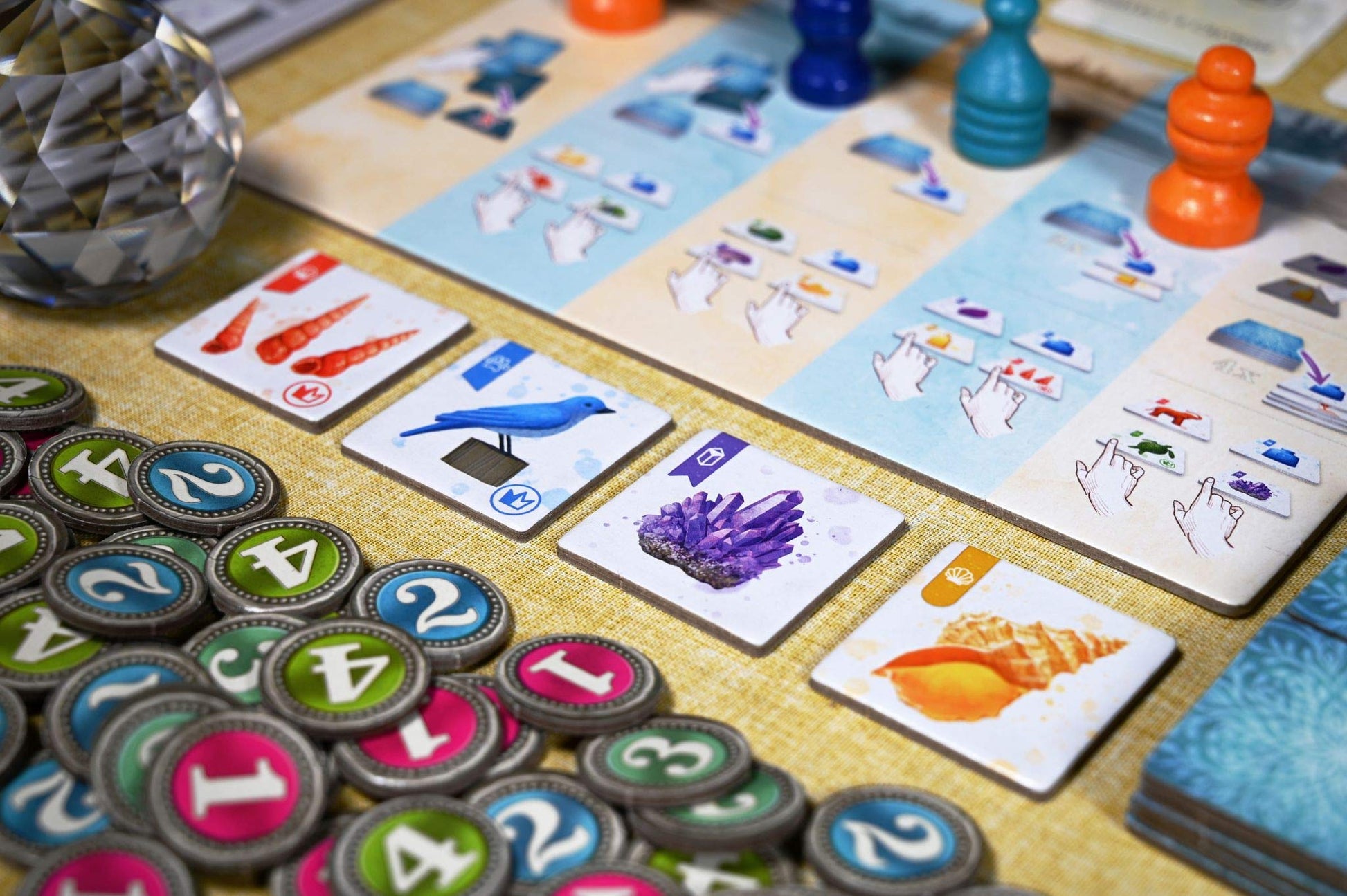 Pencil First Games The Whatnot Cabinet Board Game - A Nature-Themed Game of Collecting Intriguing Objects by Pencil First Games for 1-4 Players