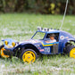 Tamiya 2010 DT02 RC Holiday Buggy