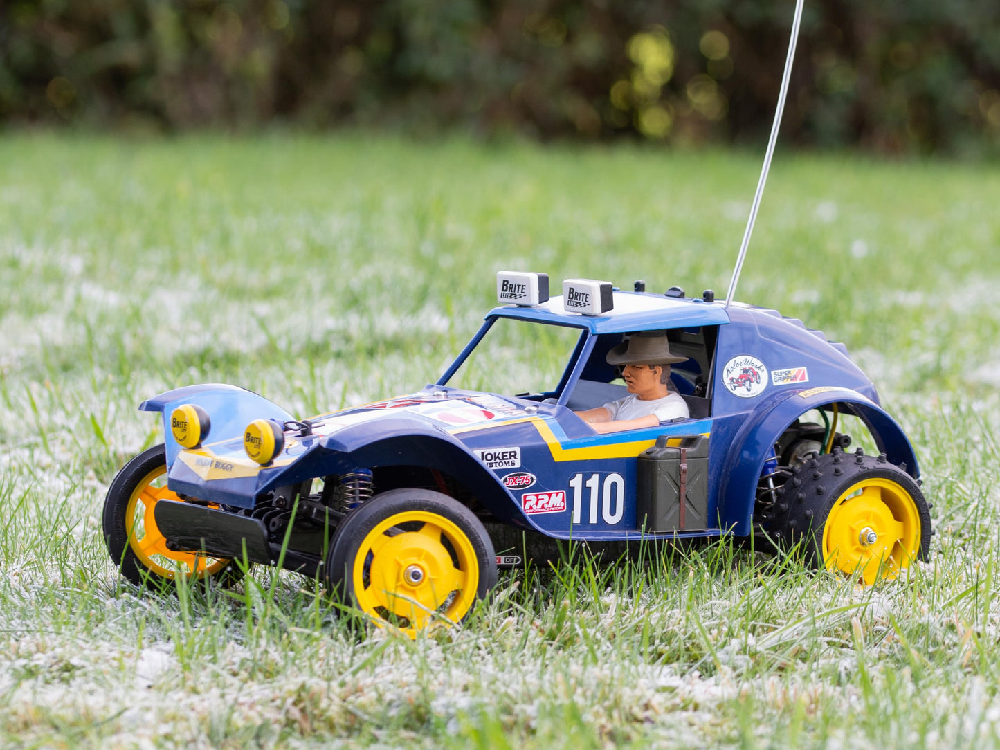 Tamiya 2010 DT02 RC Holiday Buggy