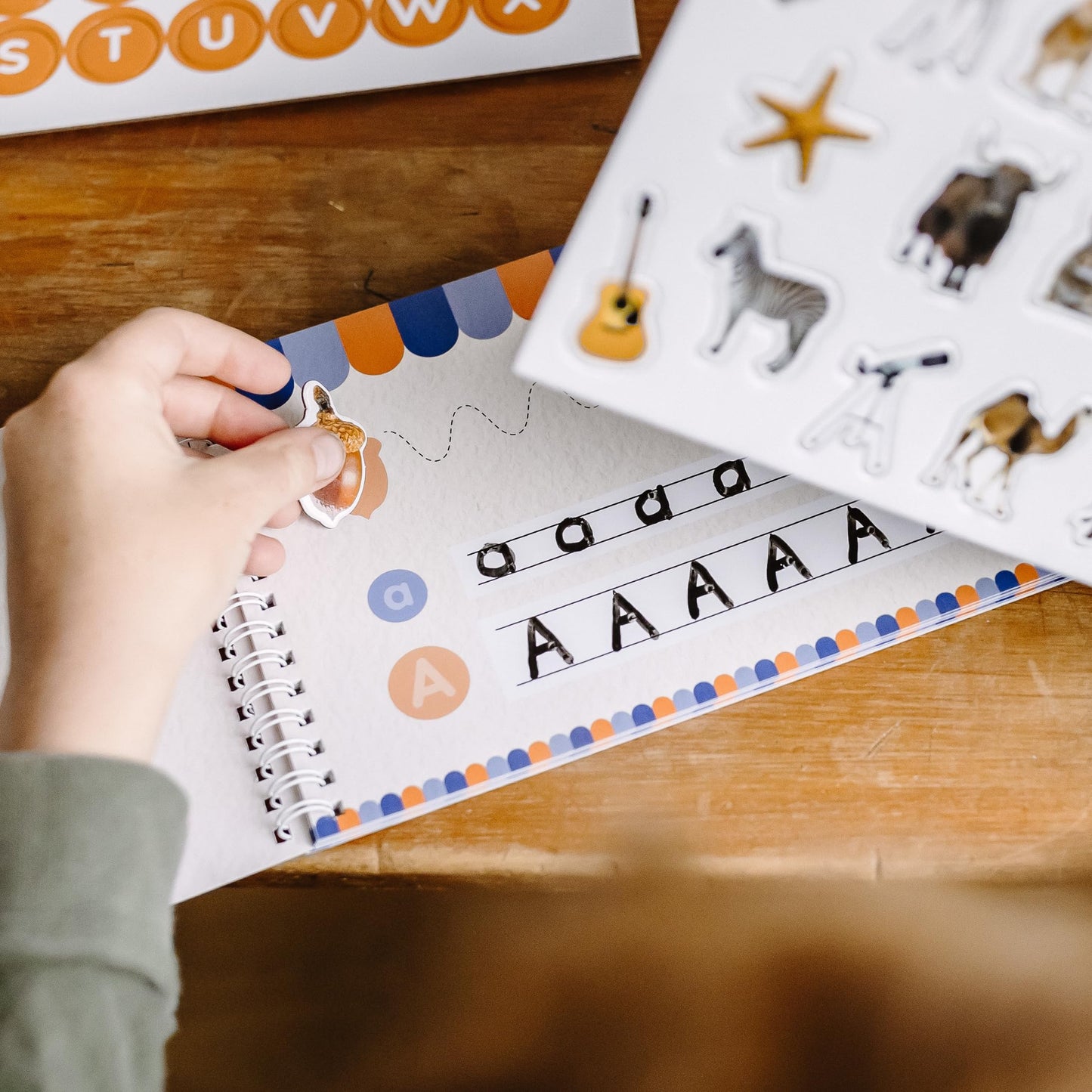 Montessori Phonics Set 20 Stages All-in-One Reusable Write & Wipe Activity Book with 73 Phonics Flash Cards Calm Early Learning Kit for Kids Ages 3-6