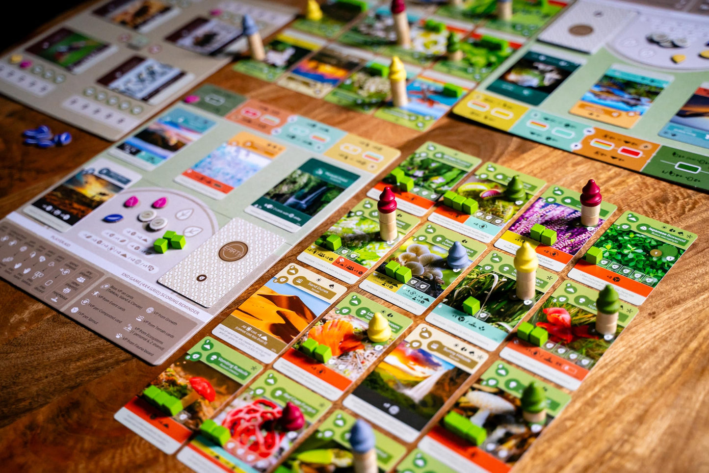 Inside Up Games Earth: Abundance Expansion | Board Game Expansion | Ecosystem Building, Card Drafting, Action Selection | 1 to 6 Players | 45-90