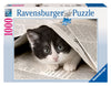 Ravensburger Curious Kitty 1000 Piece Puzzle