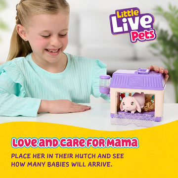 Little Live Pets Mama Surprise Minis Bunny, Reveals 2-4 Babies