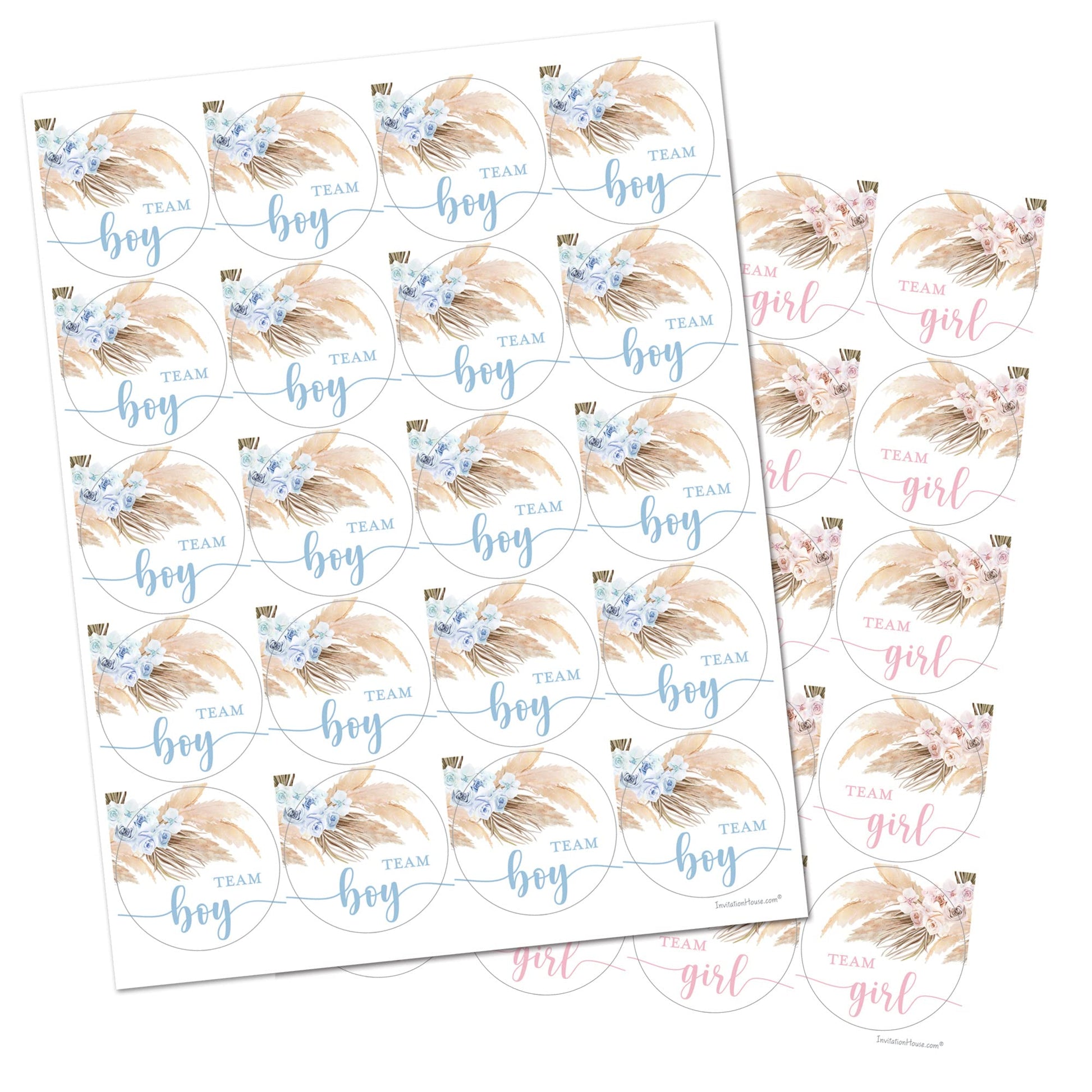 Pampas Grass Team Girl, Team Boy Gender Reveal Stickers - 40 Labels (20 of Each Design)