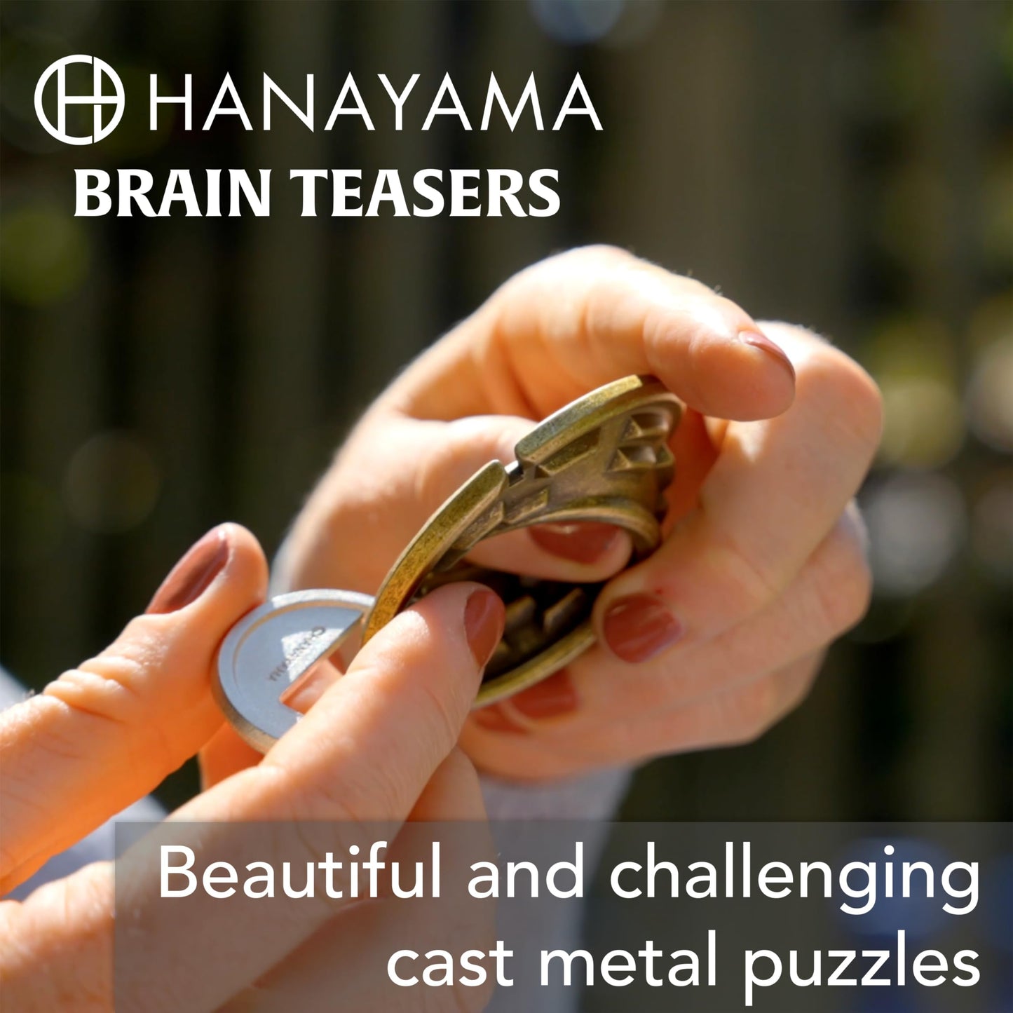 Hanayama Ripple Cast Metal Brain Teaser Puzzle, Level 5, Ages 12+