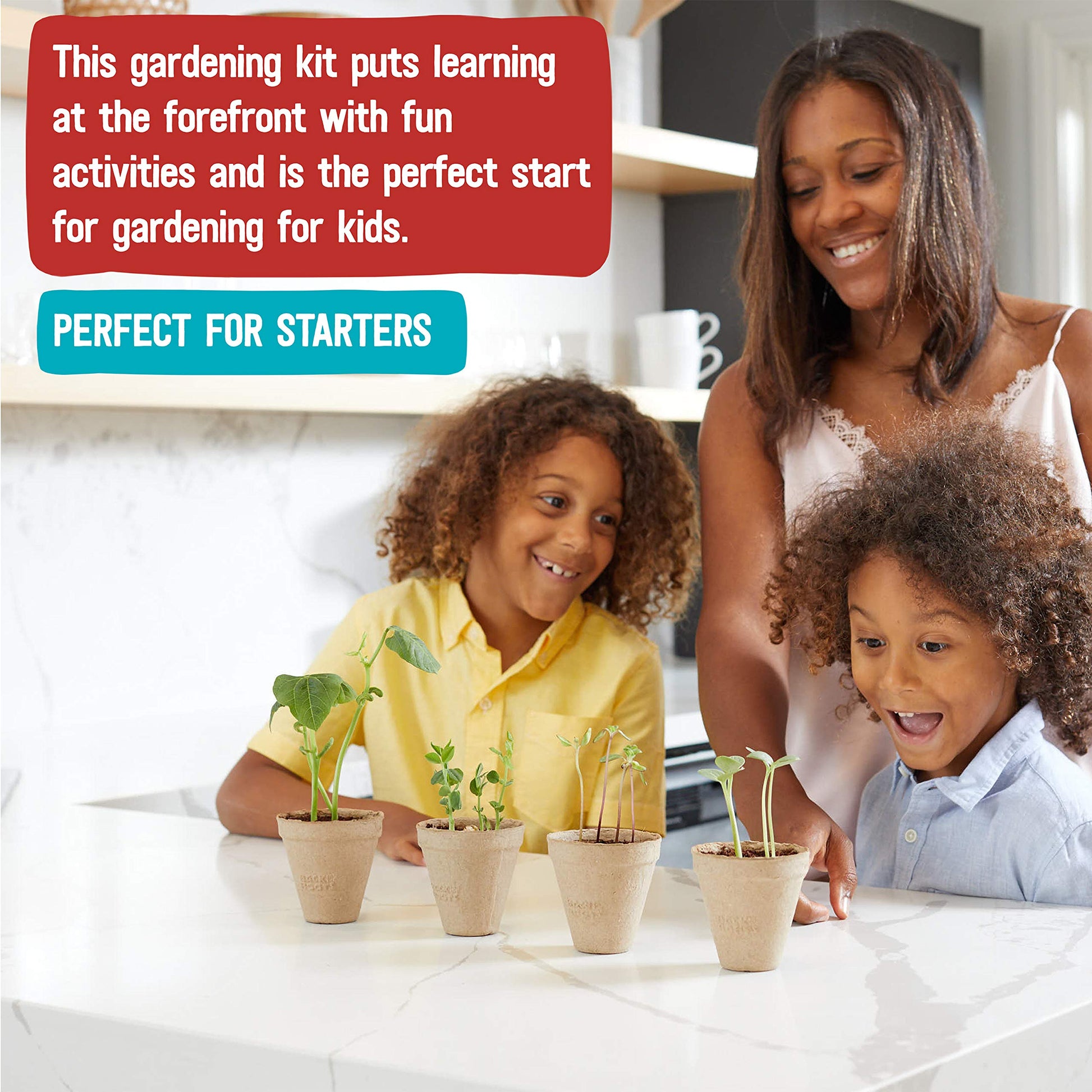 Back to the Roots Kids Science Grow Kit - 2 pk Bean and Watermelon