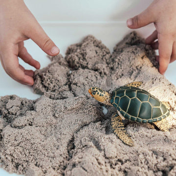 Safari Ltd. Green Sea Turtle Figurine - Detailed 3.58" Plastic Model Figure - Fun Educational Play Toy for Boys, Girls & Kids Ages 3+