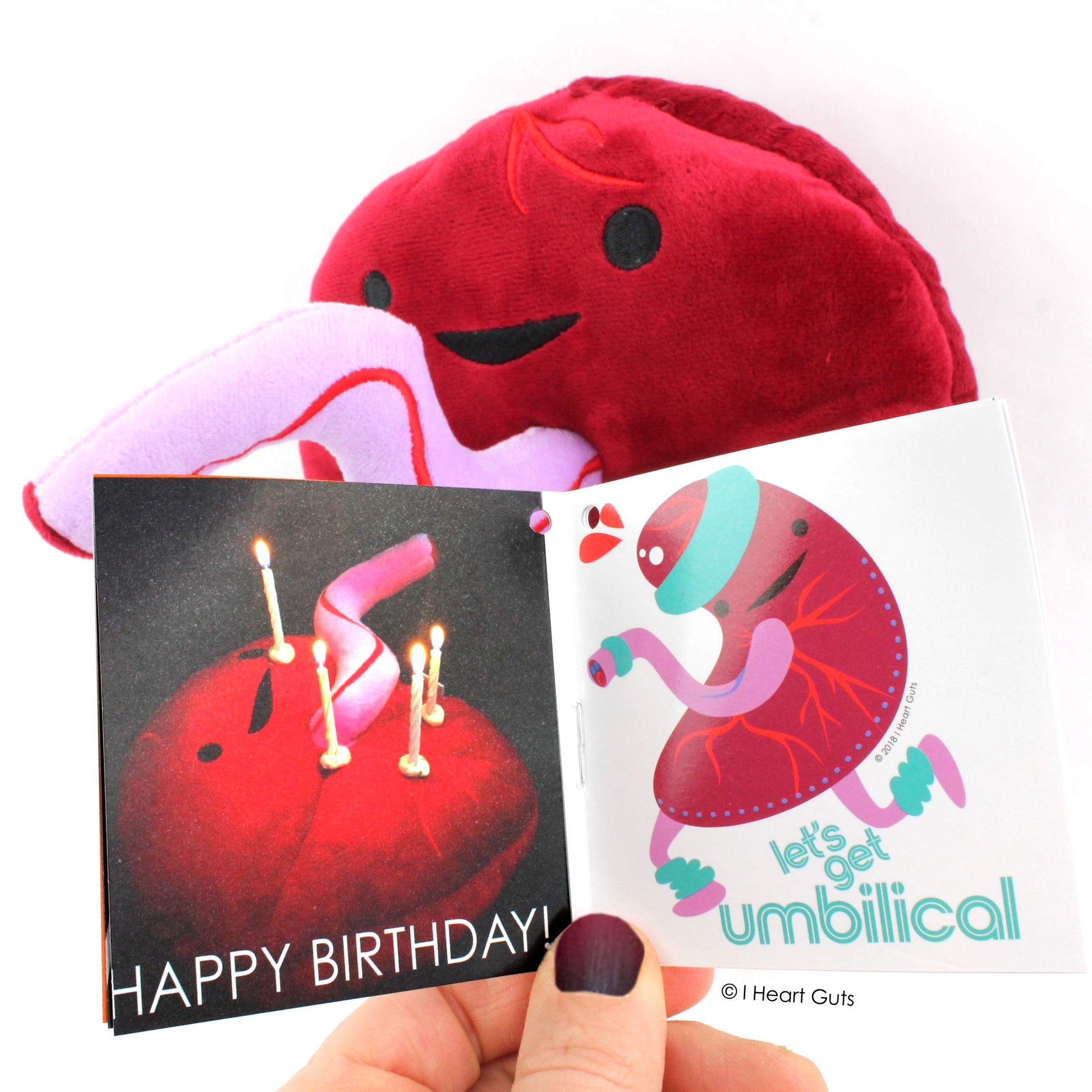 I Heart Guts Placenta Plush - Cute Educational Organ Toy for Childbirth & Postpartum - Funny Get Well Recovery Gift for Labor Delivery Nurse Patients