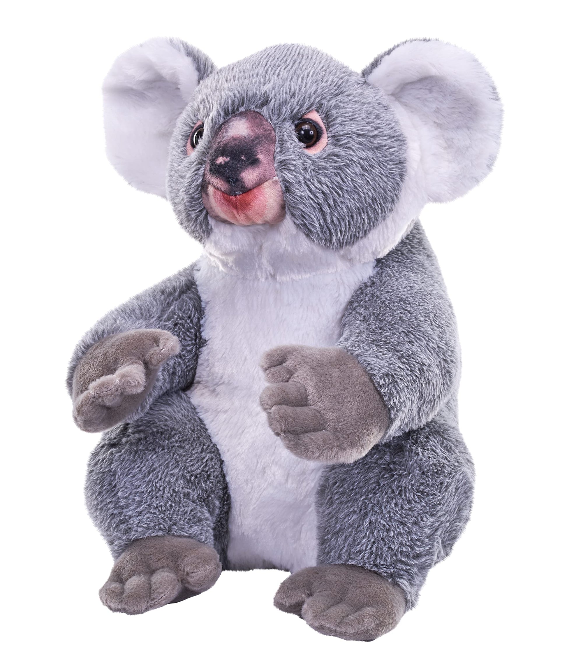 Wild Republic Artist Collection Koala Stuffed Animal - 15"