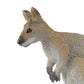 Safari Ltd. Wallaby Figurine - Hand-Painted, Lifelike 2.5" Model Figure - Fun Educational Toy for Boys, Girls & Kids Ages 3+