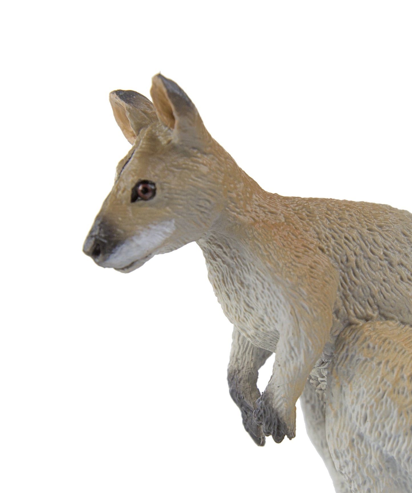 Safari Ltd. Wallaby Figurine - Hand-Painted, Lifelike 2.5" Model Figure - Fun Educational Toy for Boys, Girls & Kids Ages 3+