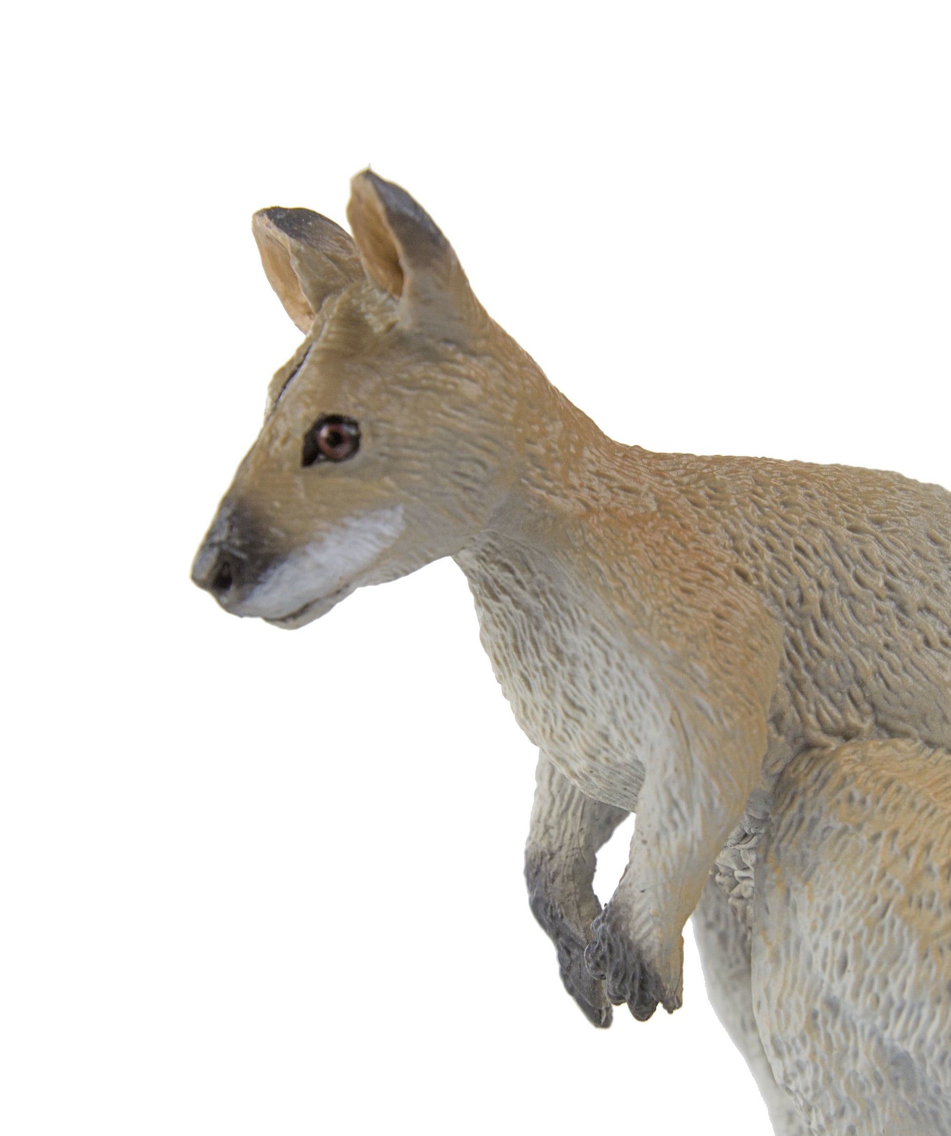 Safari Ltd. Wallaby Figurine - Hand-Painted, Lifelike 2.5" Model Figure - Fun Educational Toy for Boys, Girls & Kids Ages 3+