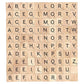 DSYJ 100 Pcs Wood Scrabble Tiles Scrabble Letters 1 Complete Sets of Wood Tiles - Clever and Delights Perfect for Crafts, Letter Tiles, Spelling