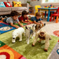 Jumbo Safari Animal Toys - Soft Zoo Playset for Kids, Realistic Wild Figurines, Educational Party Birthday for Kids Ages 3-12 (3 pcs Gorilla Wolf
