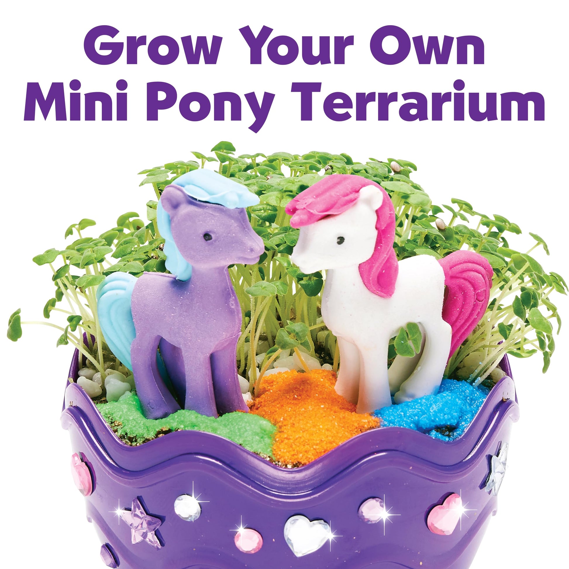 Creativity for Kids Mini Garden: Pony Terrarium Kit | Summer Crafts for Kids | Horse Gifts for Girls, Crafts for Kids and Girl Toys & Birthday Gift