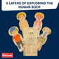 Kidzlane Boy Wooden My Body Puzzle for Toddlers & Kids - 29 Piece Boys Anatomy Puzzle Kid Play Set - Anatomy for Kids, Skeleton Toys for Children Ages