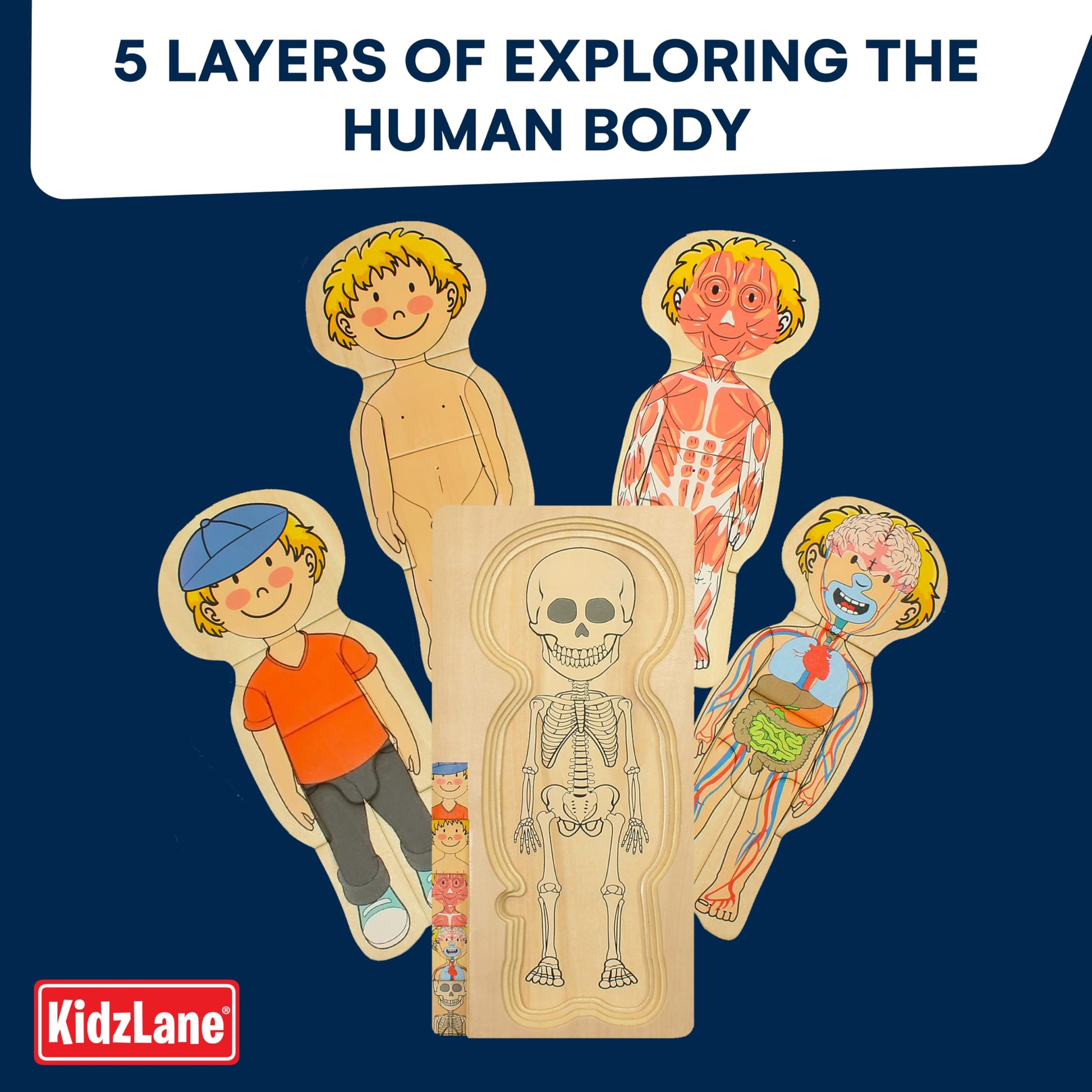 Kidzlane Boy Wooden My Body Puzzle for Toddlers & Kids - 29 Piece Boys Anatomy Puzzle Kid Play Set - Anatomy for Kids, Skeleton Toys for Children Ages