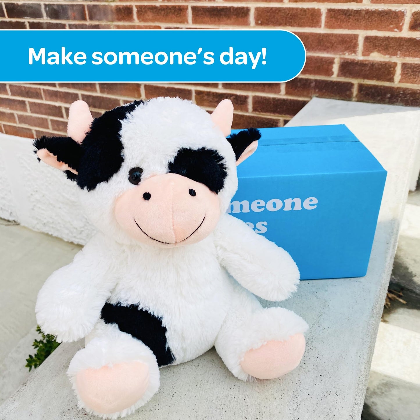 SendAFriend Cooper the Cow Care Package