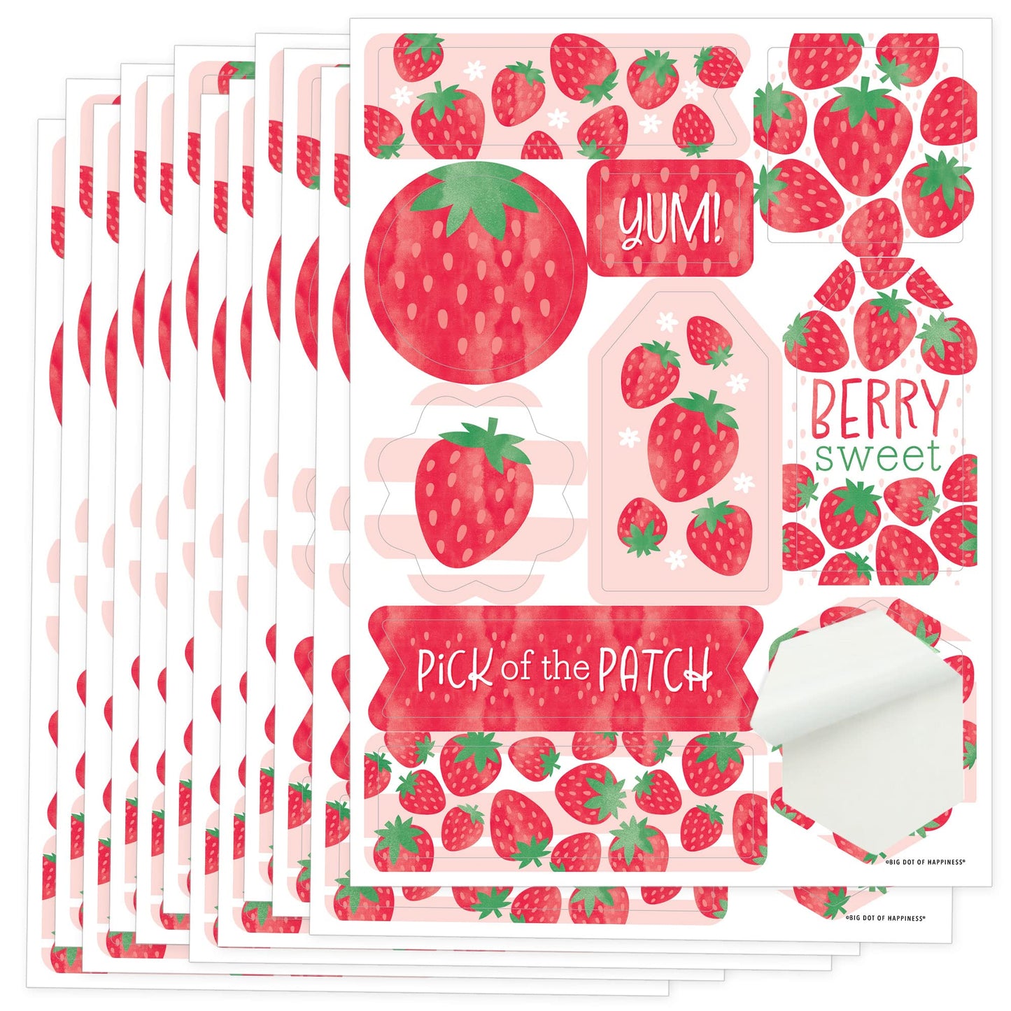 Big Dot of Happiness Berry Sweet Strawberry - Fruit Themed Birthday or Baby Shower Party Favor Sticker Set - 12 Sheets - 120 Stickers