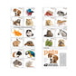 20 Forever USPS stamps Pets celebrate animals in our lives that bring joy companionship and love 1 sheet of 20 stamps