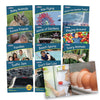 Junior Learning Letters & Sounds Phase 1 Set 2 Non-Fiction, Multicolor