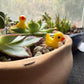 EMiEN 25PCS Little Yellow Mini Duck,Duckling Miniature Ornament Decoration Garden,Nice Decoration Accessories.