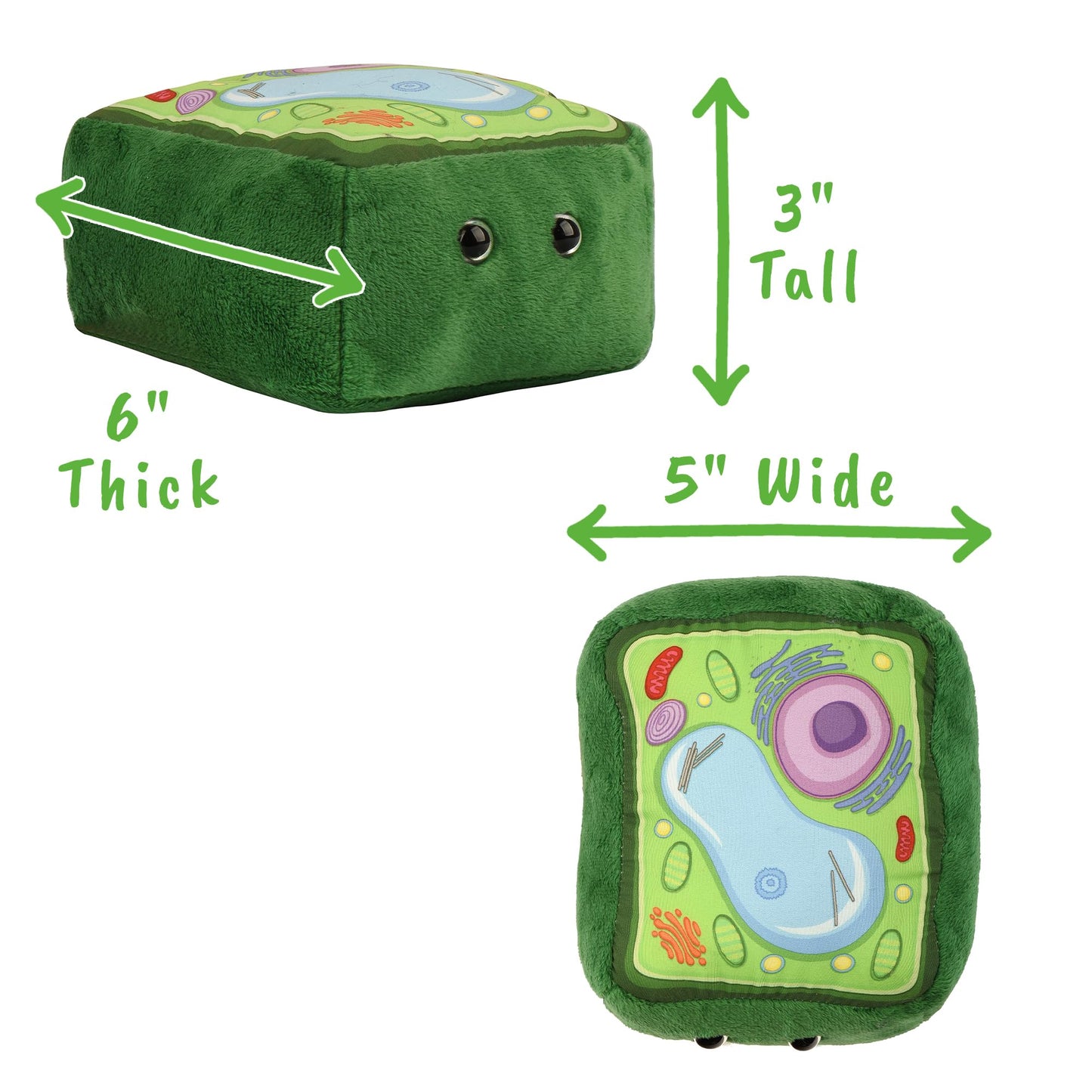 GIANT MICROBES Plant Cell Plush, Plant Cell Model, Anatomy Model, Plant Plush Toy, Cell Biology, Physiology, Biology Classroom Decor, Plant Anatomy