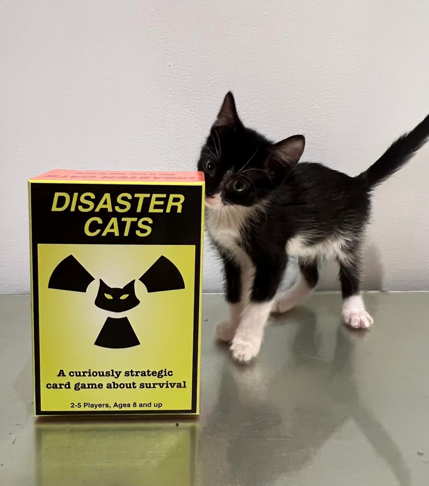 Maks Products Disaster Cats - a Fun and suspenseful Family Card Game
