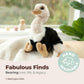 Bearington Ollie Ostrich Stuffed Animal - 9" Realistic Toy Ostrich Plush with Soft Fur, Floppy Body and Lifelike Details - Adorable Zoo Plushies