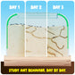 Dan&Darci Ant Farm Kit for Kids - Farms Colony - Includes Ants Voucher - Sand Habitat Kits - Bug Terrarium House - Educational Science Gifts for Kid