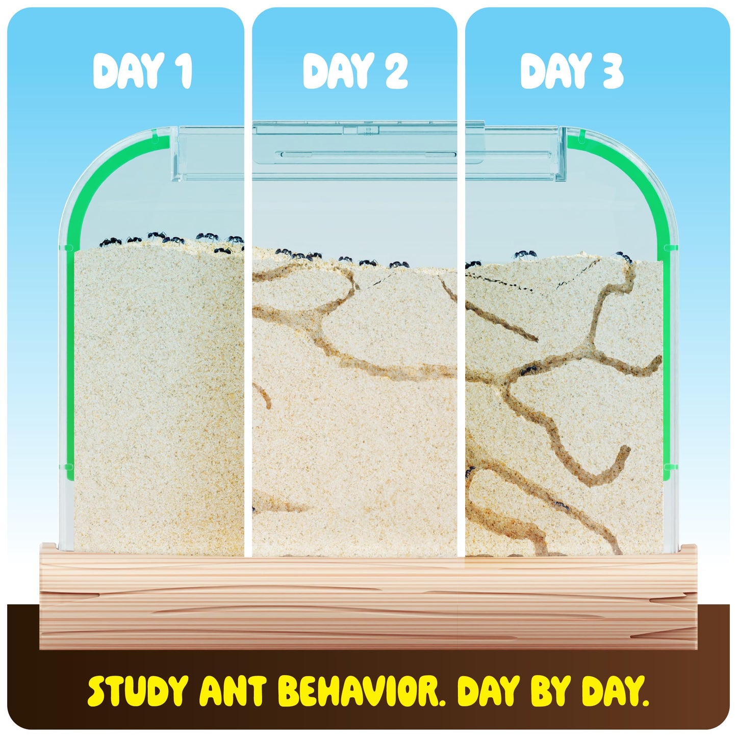 Dan&Darci Ant Farm Kit for Kids - Farms Colony - Includes Ants Voucher - Sand Habitat Kits - Bug Terrarium House - Educational Science Gifts for Kid