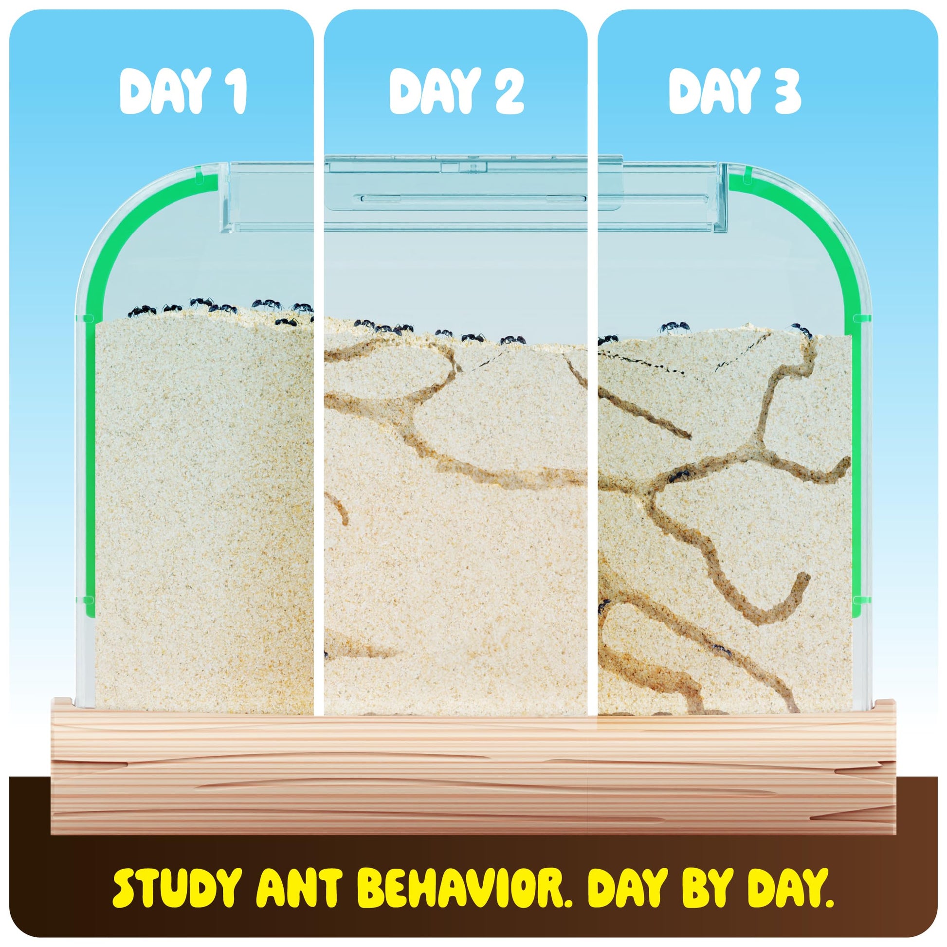 Dan&Darci Ant Farm Kit for Kids - Farms Colony - Includes Ants Voucher - Sand Habitat Kits - Bug Terrarium House - Educational Science Gifts for Kid