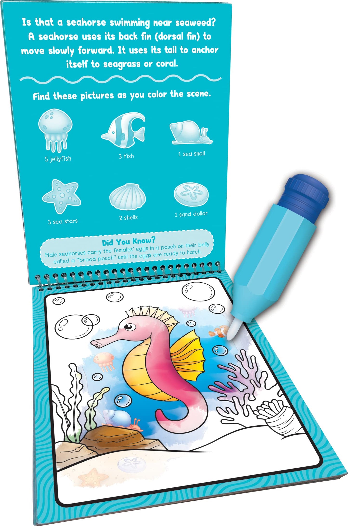 Teacher Created Resources Ocean Life Water Reveal (TCR21000)