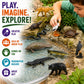 Safari Ltd. Everglades TOOB - 11 Mini Figurines: Manatee, Alligator, Turtle & More - Educational Toy Set for Boys, Girls & Kids Ages 3+