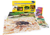 Stages Learning Materials: Insects and Bugs Themed Kit for Preschool and Early Childhood Learning Centers