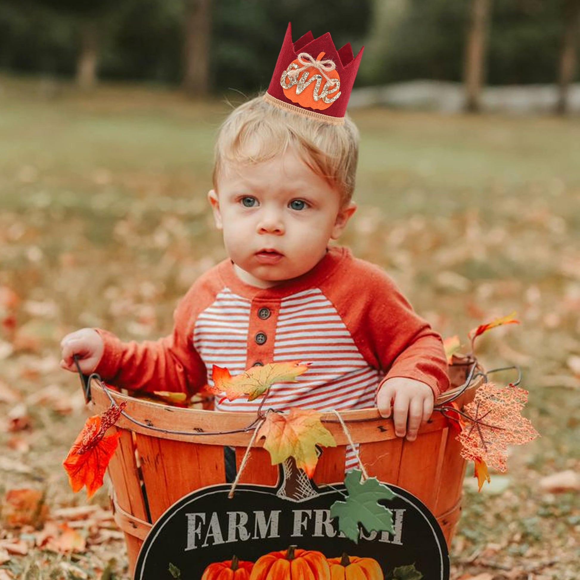 Pumpkin 1st Birthday Crown-Fall One Birthday Decorations, Pumpkin Themed 1st Birthday Photography Props Cake Smash, Halloween First Birthday