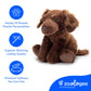 The Petting Zoo Chesapeake Retriever Dog Stuffed Animal Plushie, Gifts for Kids, Brown Dog Plush Toy 9 inches