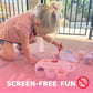CocoNut Outdoor DIY Sidewalk Chalk Paint Set - Non-Toxic, Washable Powdered Chalk - Simply Mix in Water and Use a Paintbrush to Create Colorful